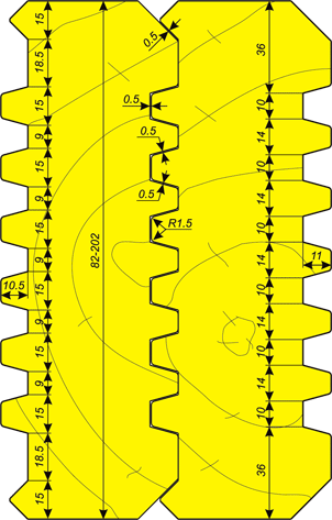 BS19